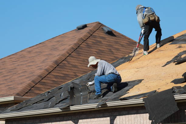 Best Roof Moss and Algae Removal  in East Village, CT